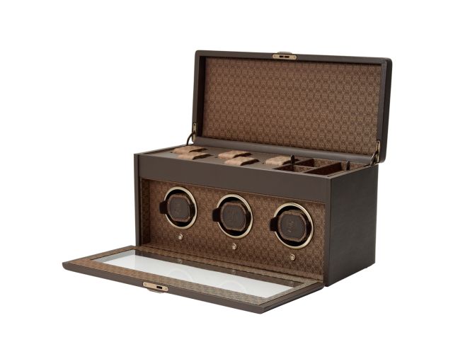 Earth Triple Watch Winder